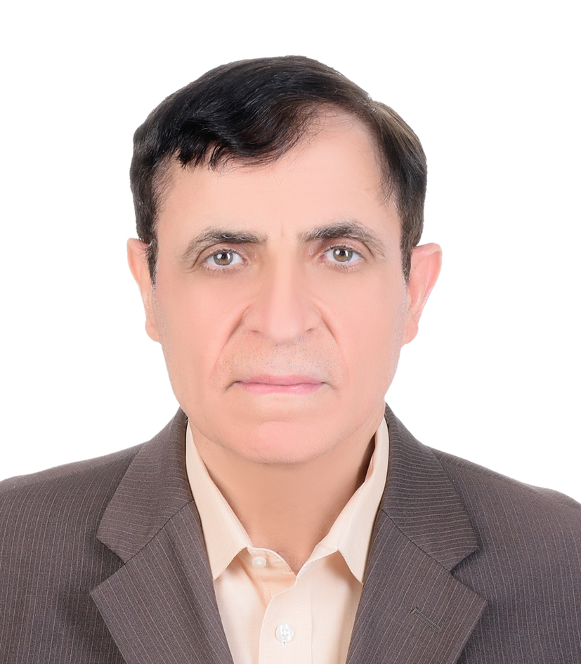 Mahmoud S M Abushamon