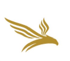 Dubai Insurance Company